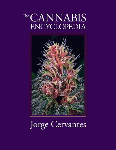 the cannabis encyclopedia sc