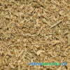 Artemisia vulgaris rohstoff 01