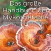 Das grosse Handbuch der Mykotherapie Heilen mit Pilzen Franz Schmaus