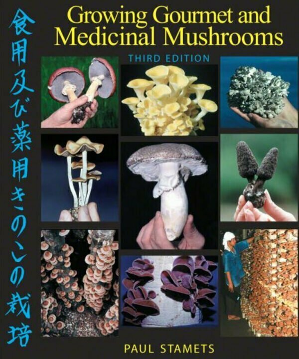 growing gourmet medicinal mushrooms