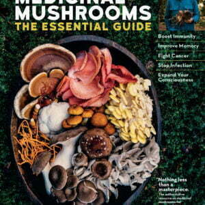 Christopher Hobbs Medicinal Mushrooms The Essential Guide