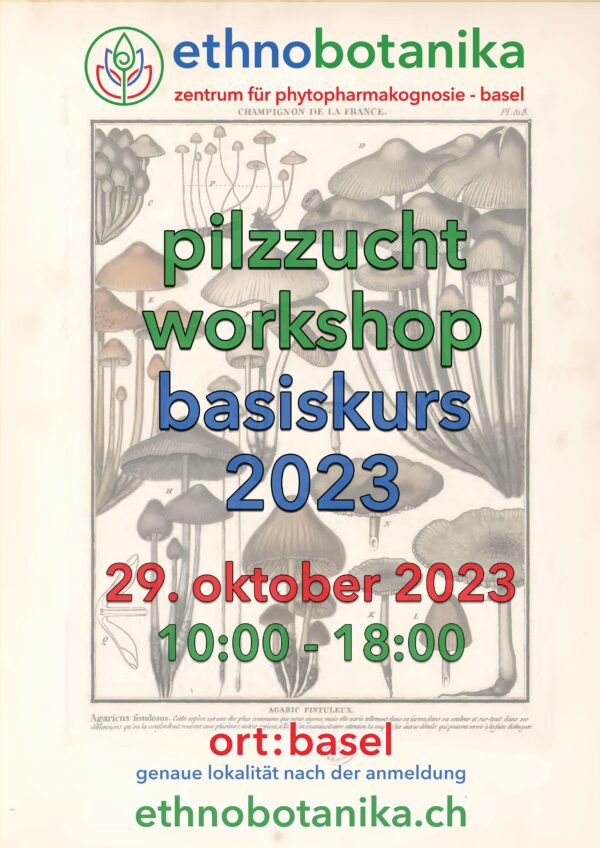 pilzzucht workshop basiskurs 10.2023 front scaled