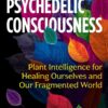 psychedelic consciousness