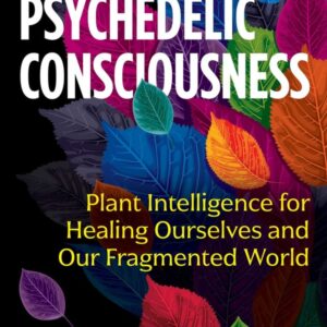 psychedelic consciousness