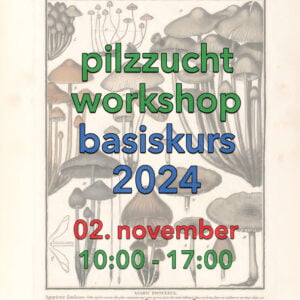 pilzzucht workshop basiskurs front 02.11.2024