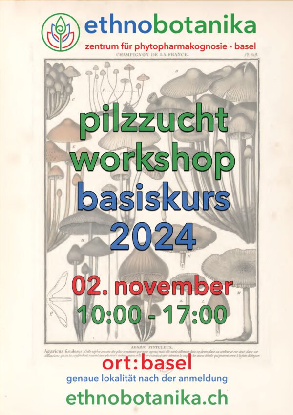 pilzzucht workshop basiskurs front 02.11.2024 scaled
