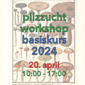 pilzzucht workshop basiskurs front 20.04.2024