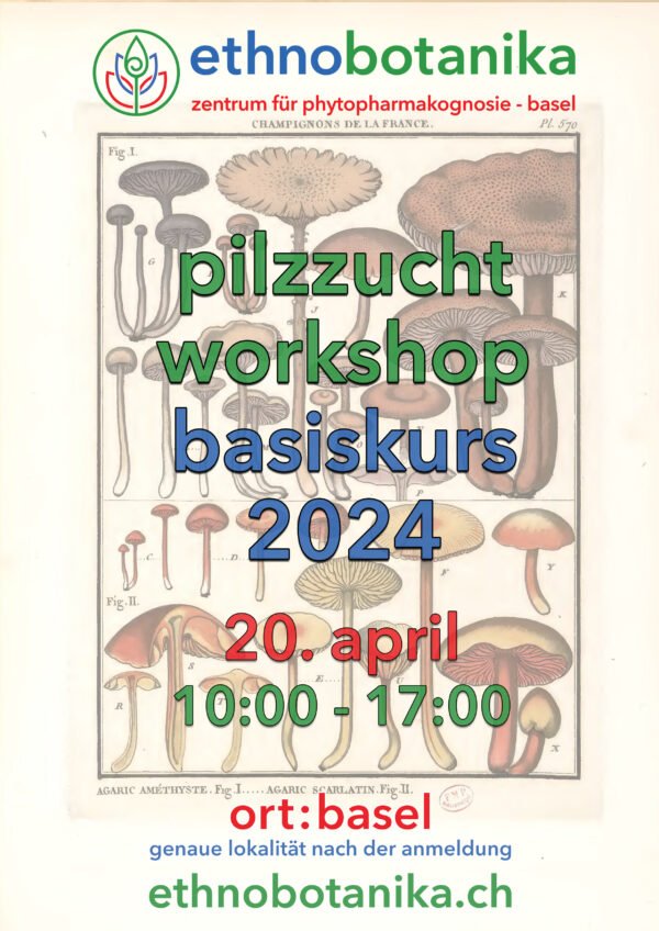 pilzzucht workshop basiskurs front 20.04.2024 scaled